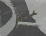 200832915654.gif