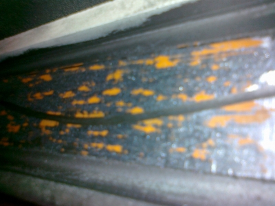 20100522082.jpg